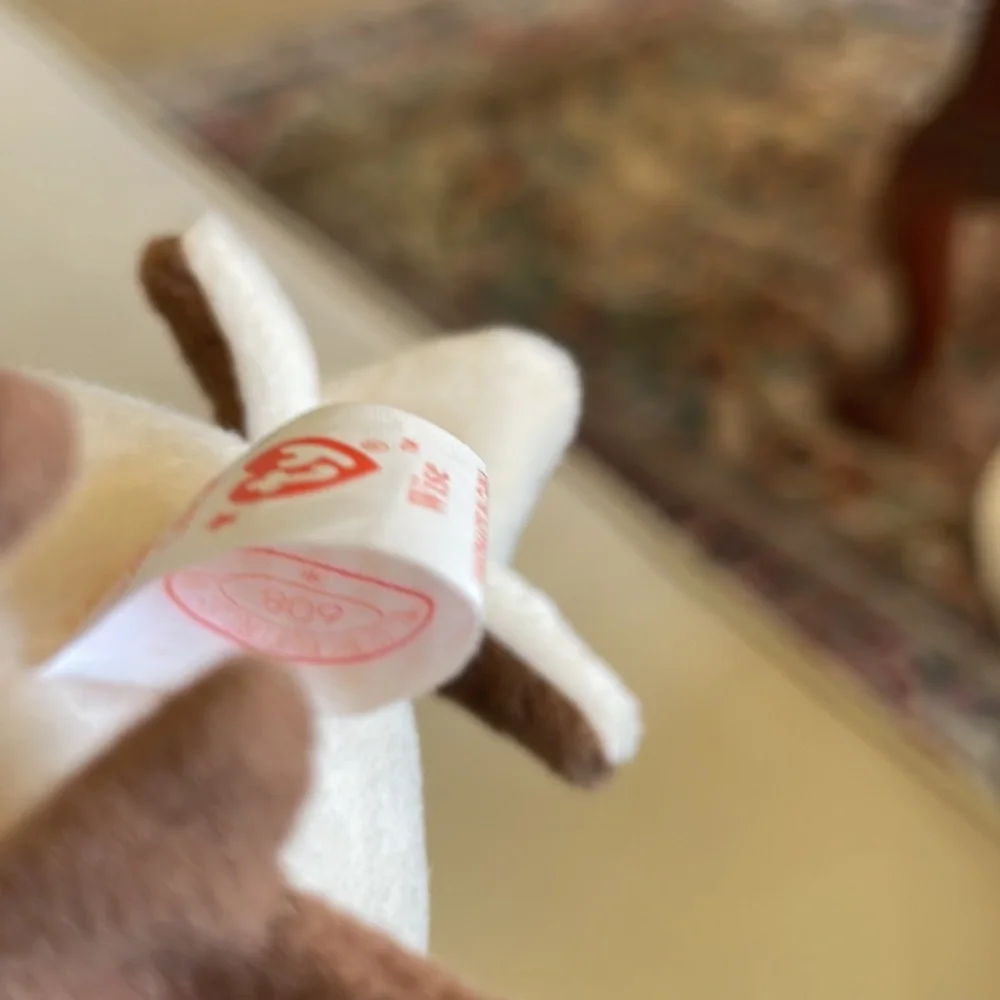 TY Beanie Baby Wise the Owl class of 98 - Picture 9 of 9